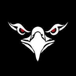 Sklep bokserski - MMA, sztuki walki, sprzęt  PRESTIGE