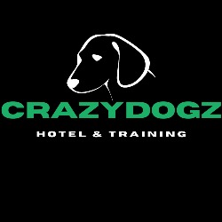 Crazy Dogz  Hotel dla psów  Szkolenie psów