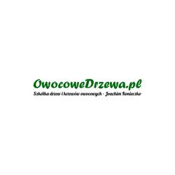 Szkółka Drzew Owocowych i Róż - Joachim Konieczko - Szkółka sadownicza