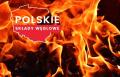 Węgiel orzech z Polskich kopalni