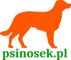 Szkoła dla psów "Psinosek"