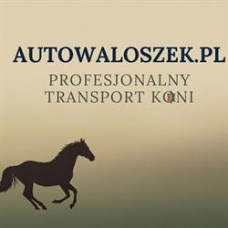 Autowaloszek - Wypożyczalnia Samochodów Częstochowa