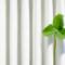 Program-Czyste-Powietrze