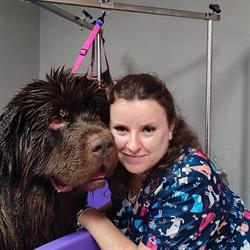 Diegolandia - Salon Pielęgnacji Zwierząt - Groomer