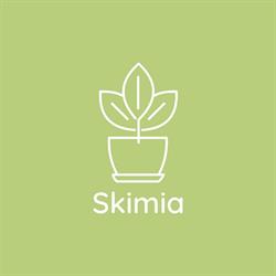 Skimia - Internetowe Centrum Ogrodnicze  Producent Roślin Ogrodowych  Rośliny Domowe