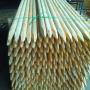 paliki fi5x250cm