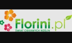 Bartosz Jacek Łobanowski RENTAL S.C.