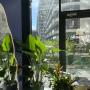 Tropics in Marselle