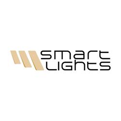 Profesjonalne iluminacje LED - SmartLights