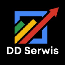 DD Serwis Agencja Interaktywna Pozycjonowanie w Google