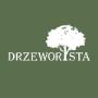 Drzeworysta
