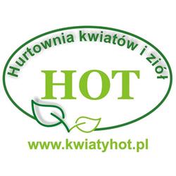 Hurtownia kwiatów i ziół HOT