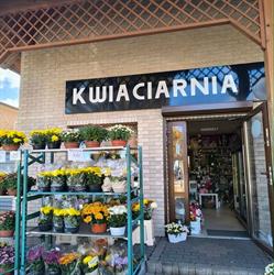 Nowak. Producent zniczy. Kwiaciarnia.