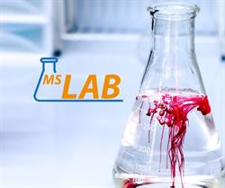 MS LAB Sp. z o.o.