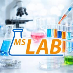 MS LAB Sp. z o.o.