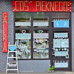 Galeria "Coś Pięknego"