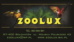 Zoolux Kamila Grodzka