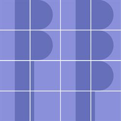 BBIP Accounting