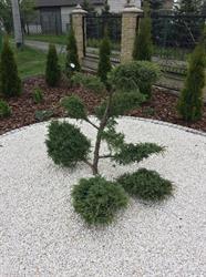 PHU "Garden" s.c Dariusz Wójcik/Janusz Marek