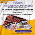 ЗАВОД ПО ПРОИЗВОДСТВУ КОЛБАСНЫХ ИЗДЕЛИЙ