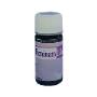 allegro feminam libido