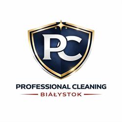 Professional Cleaning - Pranie Tapicerki Auto Detailing Mycie Okien