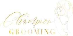 Champion Grooming Monika Trójkowska