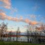 WIDOK