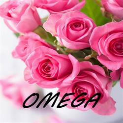 Kwiaciarnia Omega Arleta Bełezina Dołgorukow