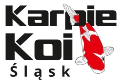 Japońskie Karpie Koi Śląsk- Sklep - Hodowla - Wysyłka