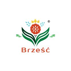 BRZEŚĆ Sipa sp. k.