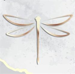 Salon Urody Sara