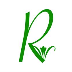Spływy Kajakowe Wkra Kondrajec Szlachecki