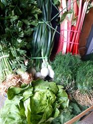Produkcja i sprzedaż owoców i warzyw