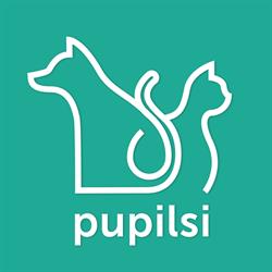 Pupilsi