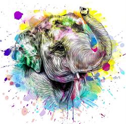 Nowoczesna Edukacja Elephant