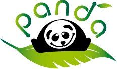 Niepubliczny Punkt Przedszkolny PANDA