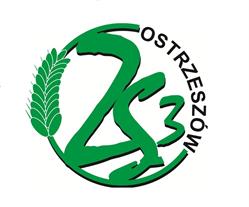 Zespół Szkół Nr 3 w Ostrzeszowie