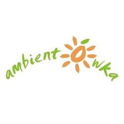 AMBIENTÓWKA