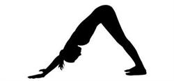 Just Joga Nowa Sól