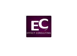 Effect Consulting