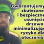 Wycinka