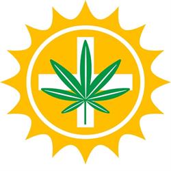 WEEDPOL.PL - HURTOWNIA Legalne Konopie CBD, Susz Tanio Hurt Producent Hurtownia