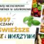 Konieczny - Twój niezastąpiony partner w Gastronomii