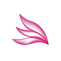 PureCreations.pl - Branding, Logo, filmy reklamowe, drony FPV, strony www