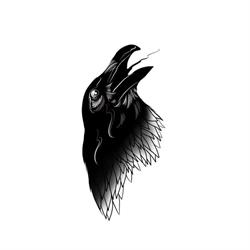 Black Bird Agroturystyka