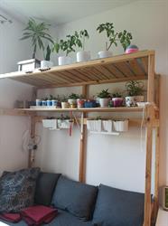 Evergreen Hostel Krakow (English speaking only)