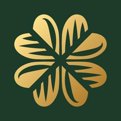 Finance Partner