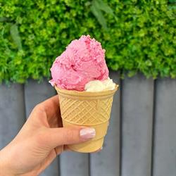 Lody Kosińscy