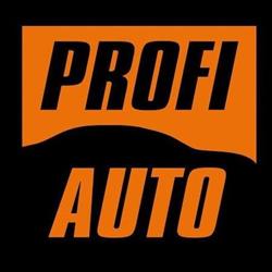 Profi Auto Serwis Lipiec